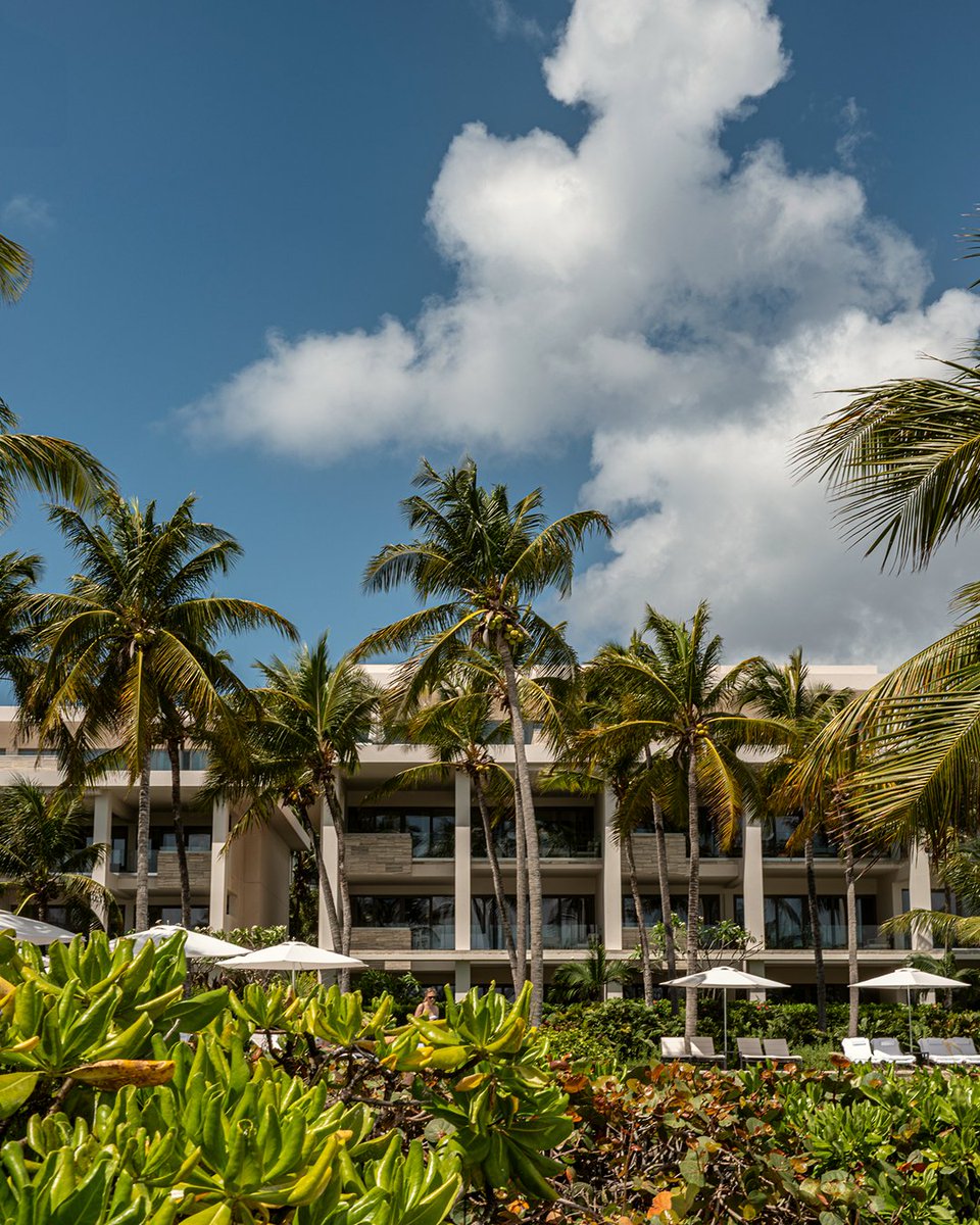 FSRAnguilla's tweet image. A paradise framed by palms and endless tranquility. This is the calm of #FSAnguilla.

#DiscoverAnguilla #FourSeasons #FSStayForTheHeart