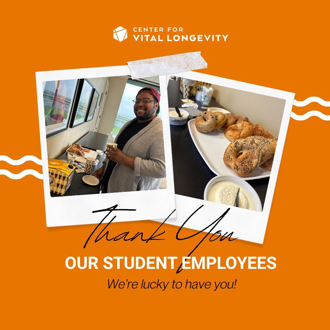 CVLneuro's tweet image. As the National Student Employment Week comes to an end, we’re celebrating our student team at CVL. Between classes, deadlines, and everything in between, you still show up with commitment, curiosity, and care for the work we do!

#CVL #UTDallas #StudentEmployeeWeek