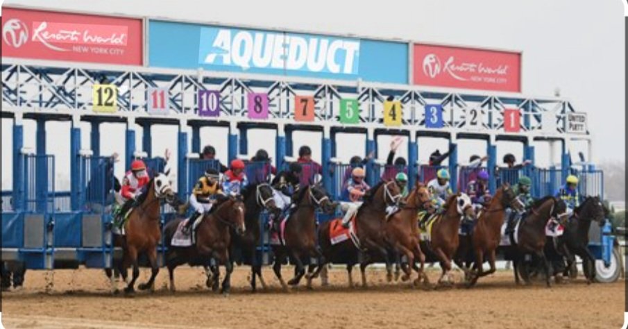 Horse Racing tweet media