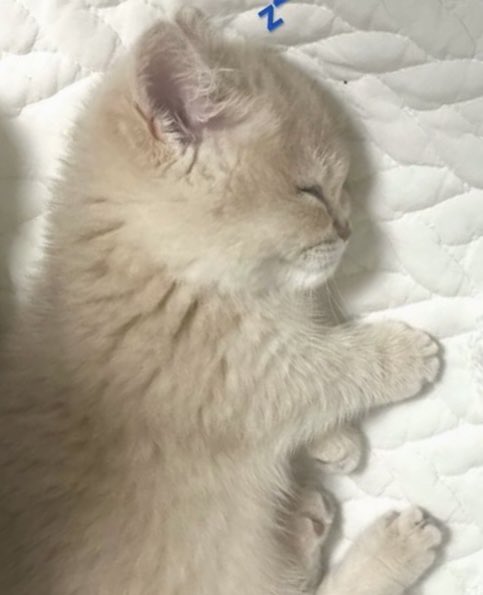 em (@143rcha) on Twitter photo 