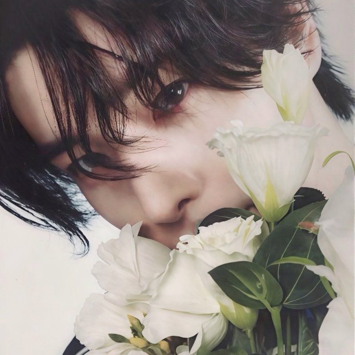 just lyra tweet media