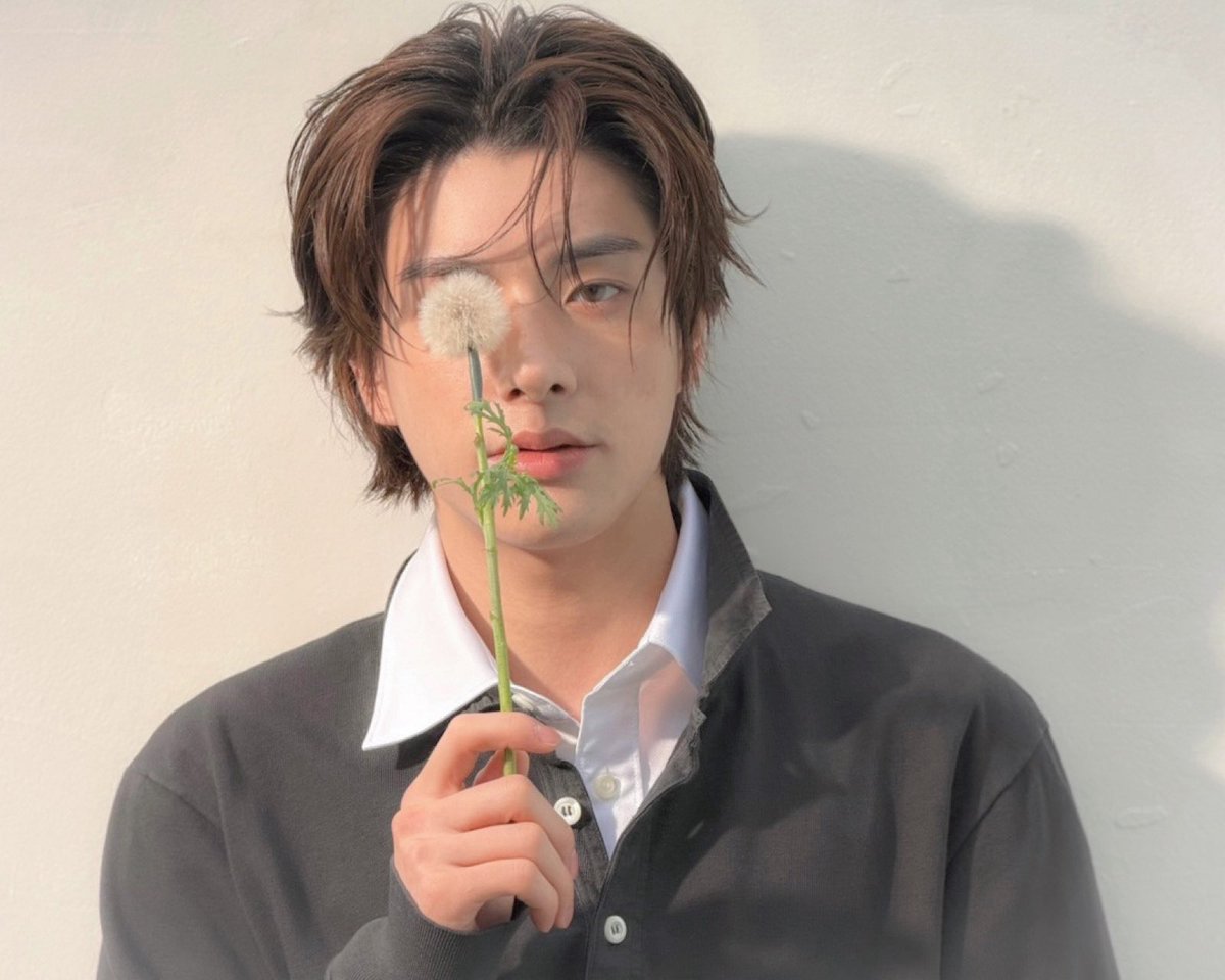 just lyra tweet media