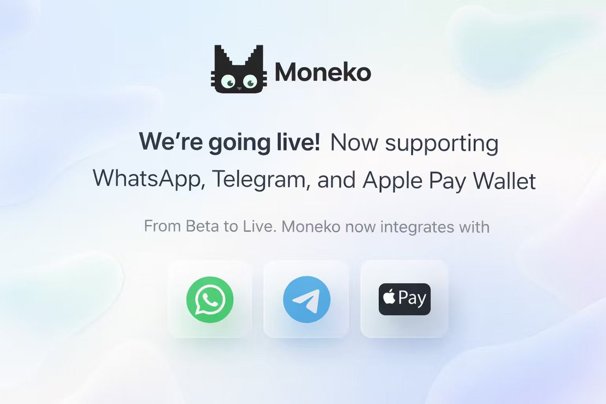 Moneko tweet media