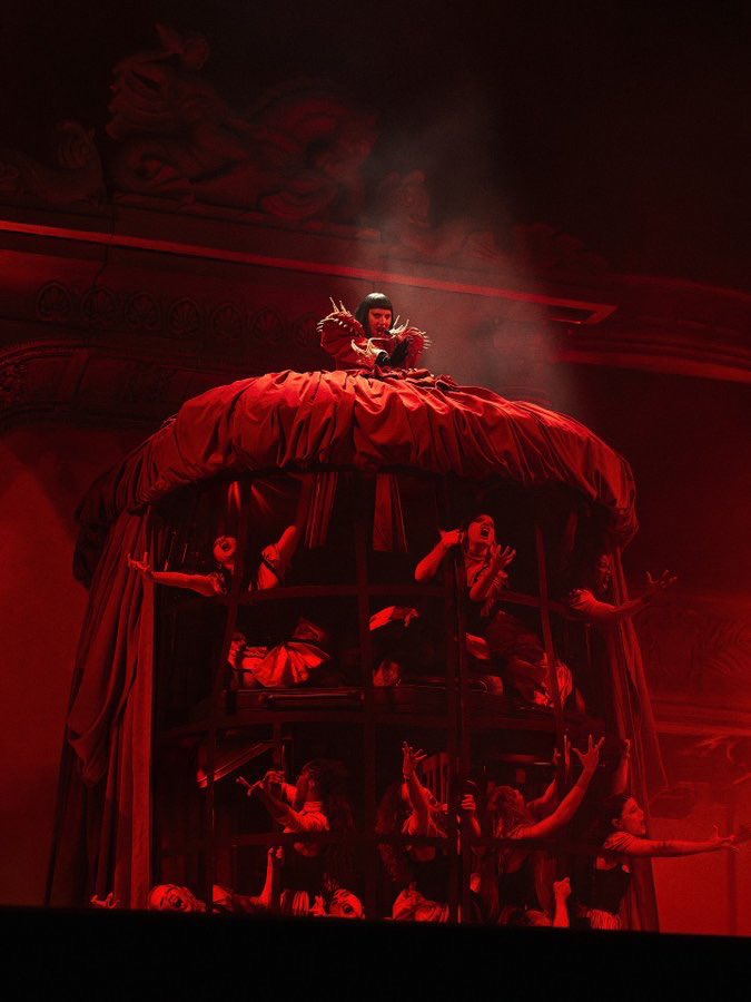 Gaga Notify tweet media