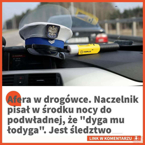 Arktos ⛄️ tweet media