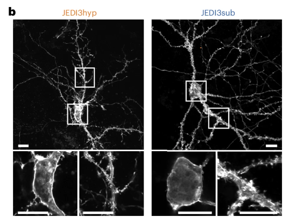 Nature Methods tweet media