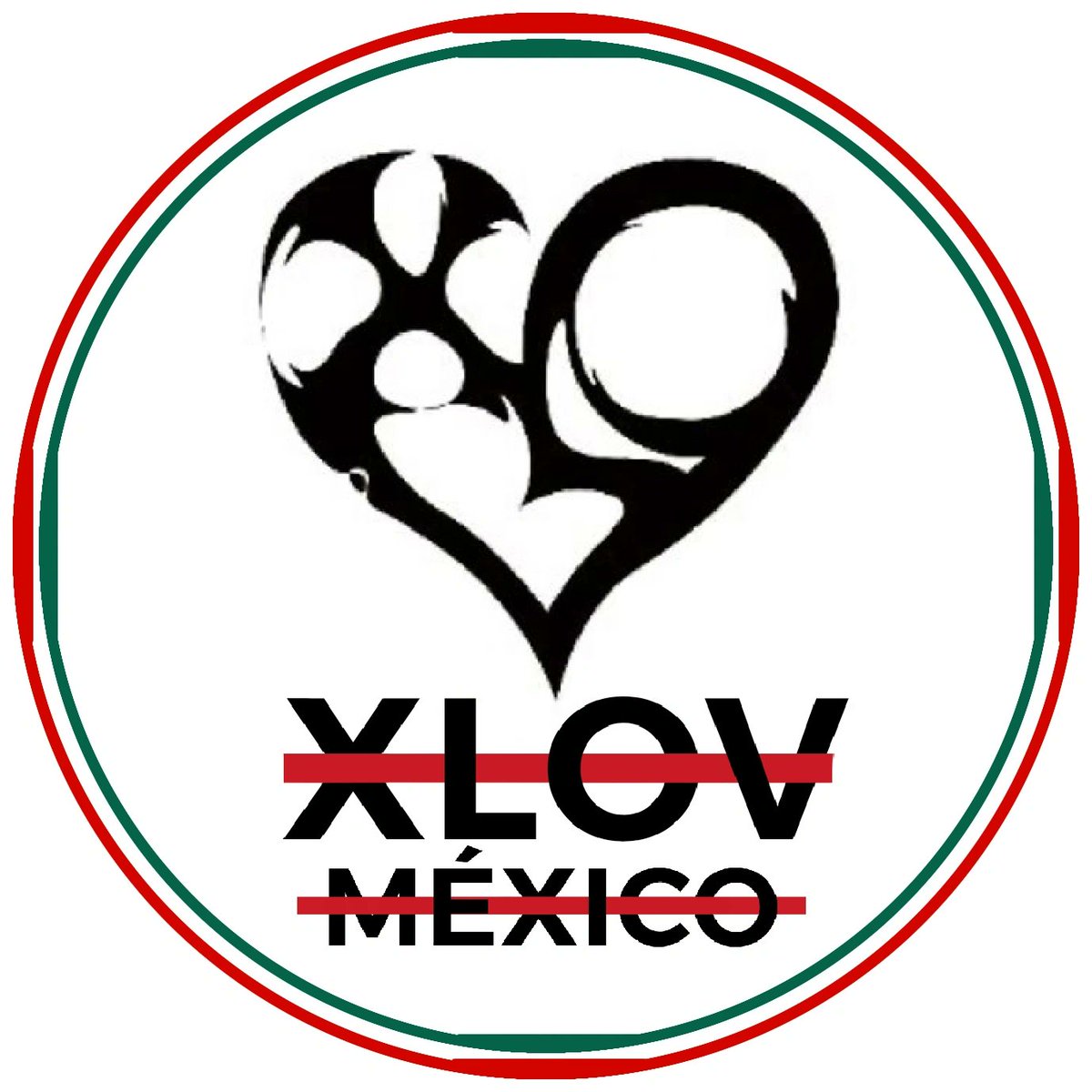XLOV MÉXICO tweet media