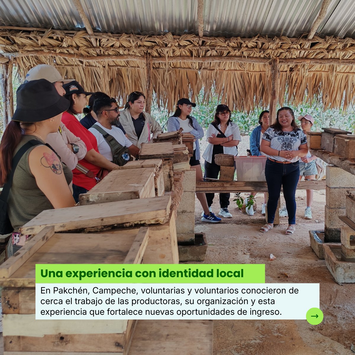 Educampo MX tweet media