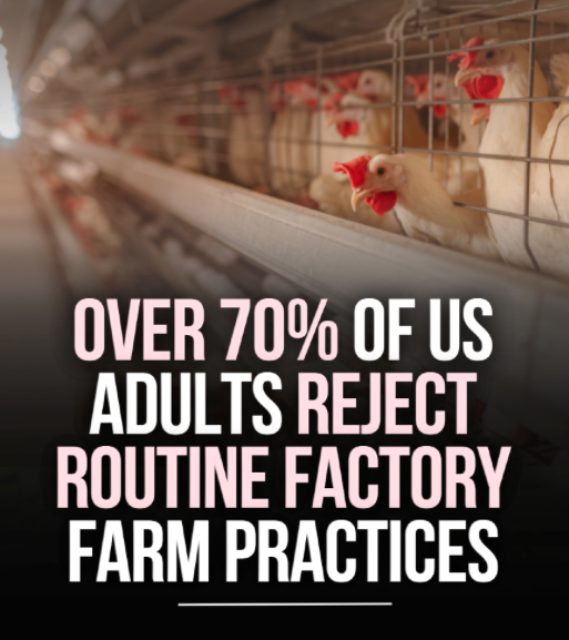 Jerome Foster II tweet media