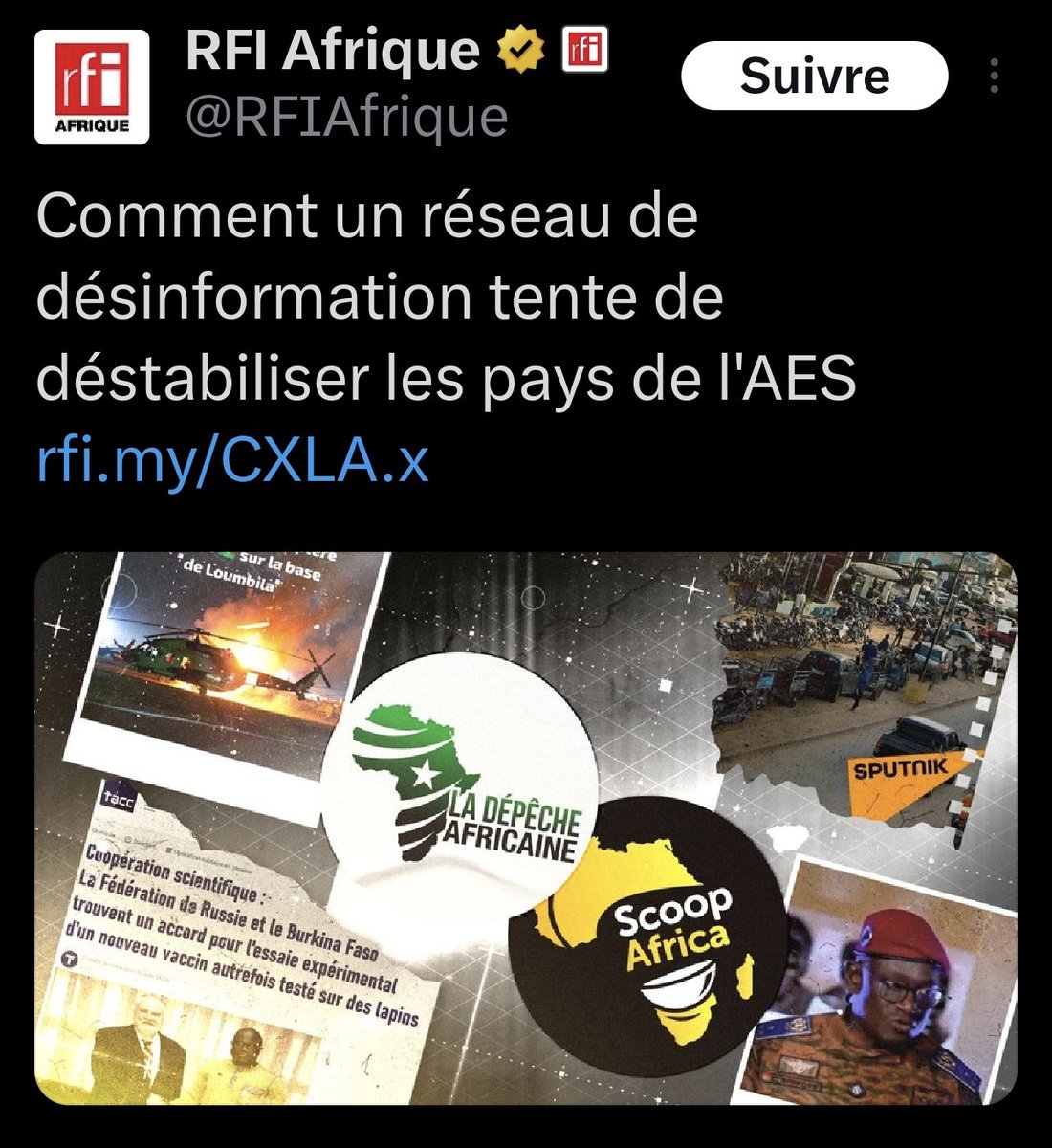 hollandais holl tweet media