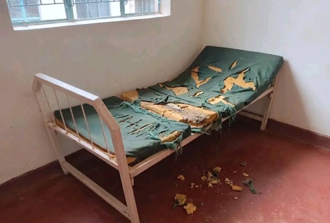 Levi Munyeri tweet media