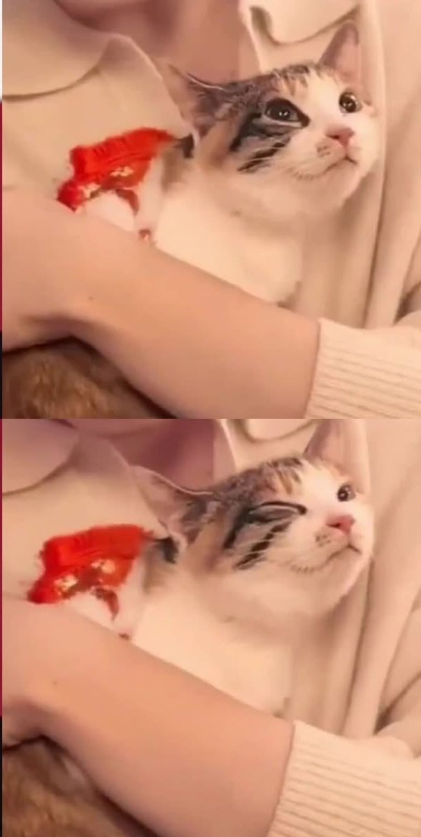 Pukakipuka🍁 tweet media