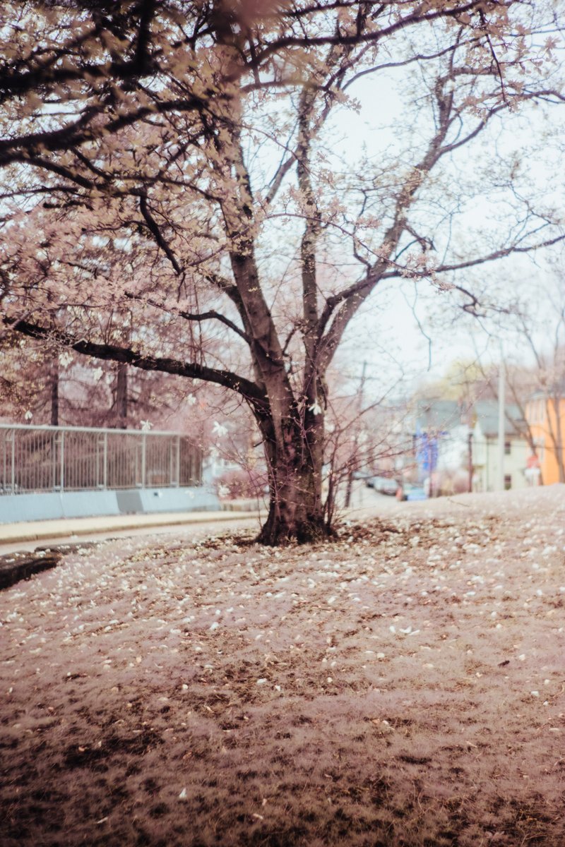 Mr. Babber tweet media