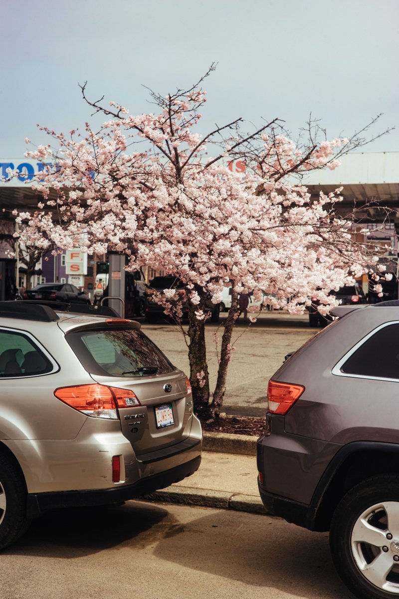 Mr. Babber tweet media