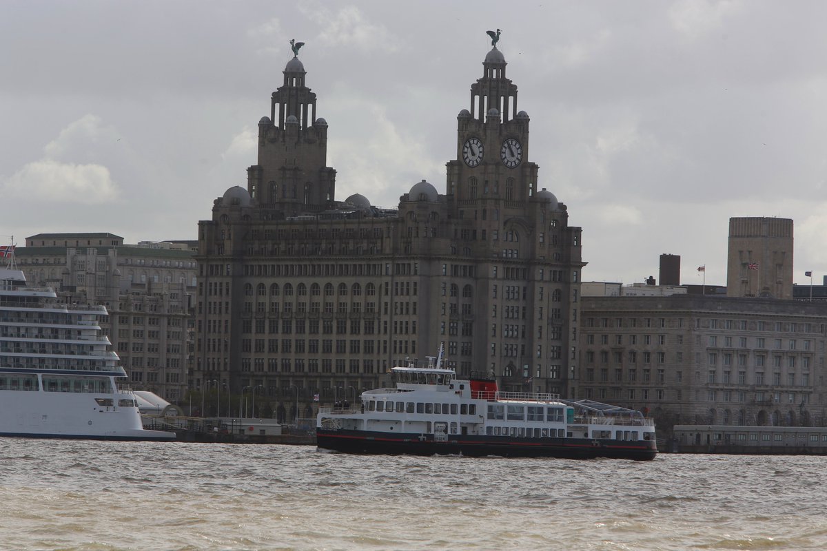 da09ppf's tweet photo. THE NEW ROYAL DAFFODIL SPOTTED IN THE MERSEY FOR TRIALS https://t.co/lUDNZAzfvv