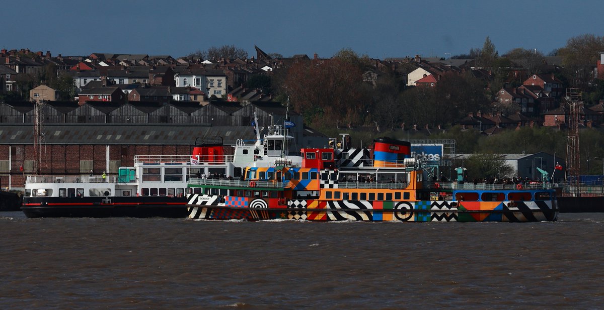 da09ppf's tweet photo. THE NEW ROYAL DAFFODIL SPOTTED IN THE MERSEY FOR TRIALS https://t.co/lUDNZAzfvv
