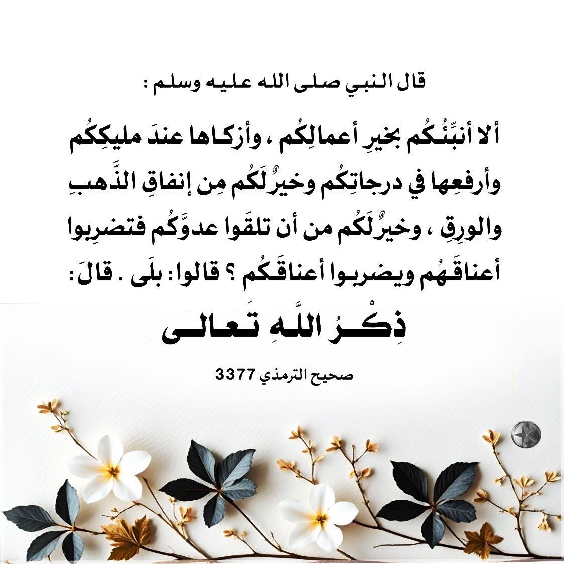 dorrahf's tweet photo. https://t.co/gzTasAD12v