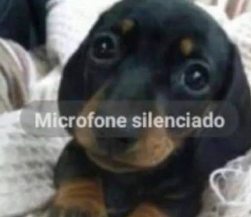 𖥻 ¡𝗹𝘂𝘅 📖: babel tweet media