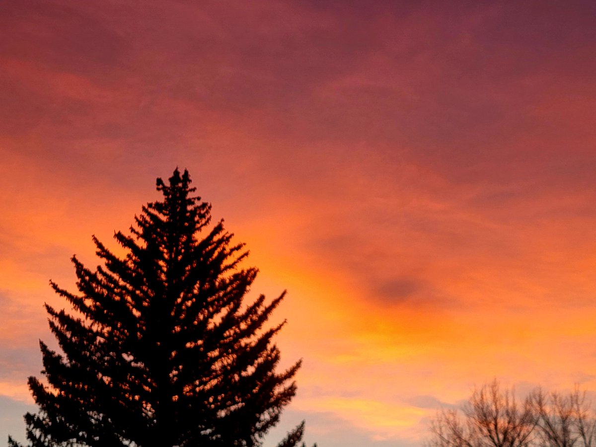 TamiK_Colorado's tweet image. QP or share a Tranquil Moment 
#Tranquil #Thursday 
#sunset