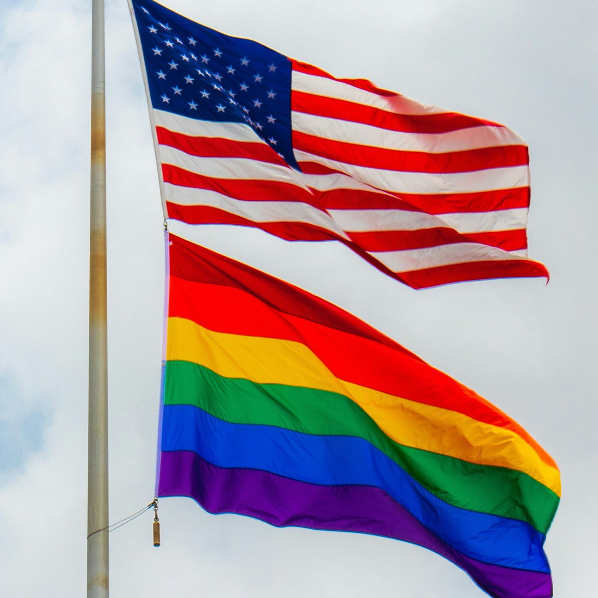 Central Reality tweet media