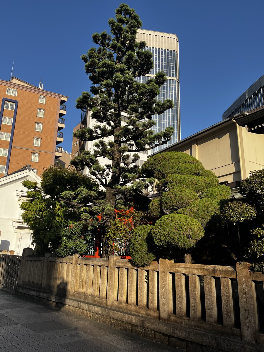 orwellbtc tweet media