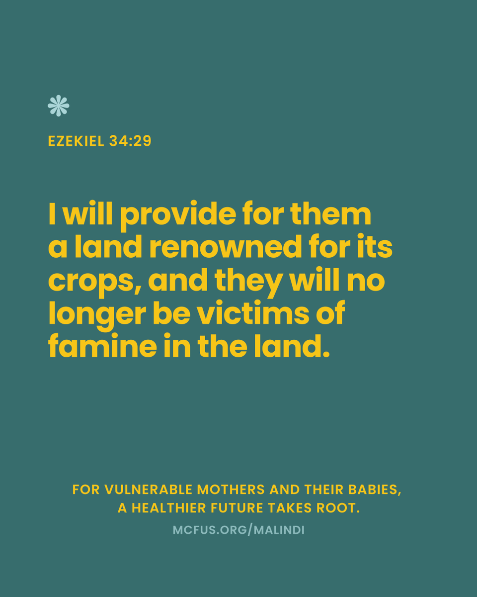 For vulnerable mothers and their babies, a healthier future takes root. 🌱 mcfus.org/malindi