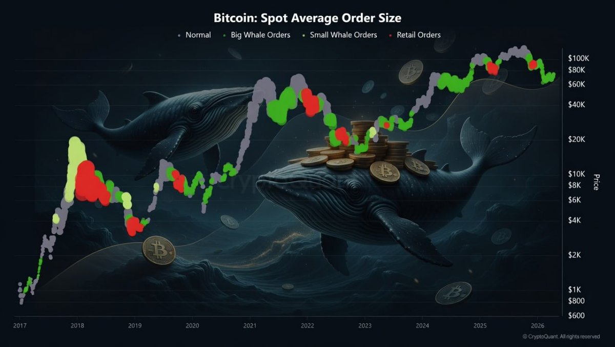 Emre İşlek tweet media