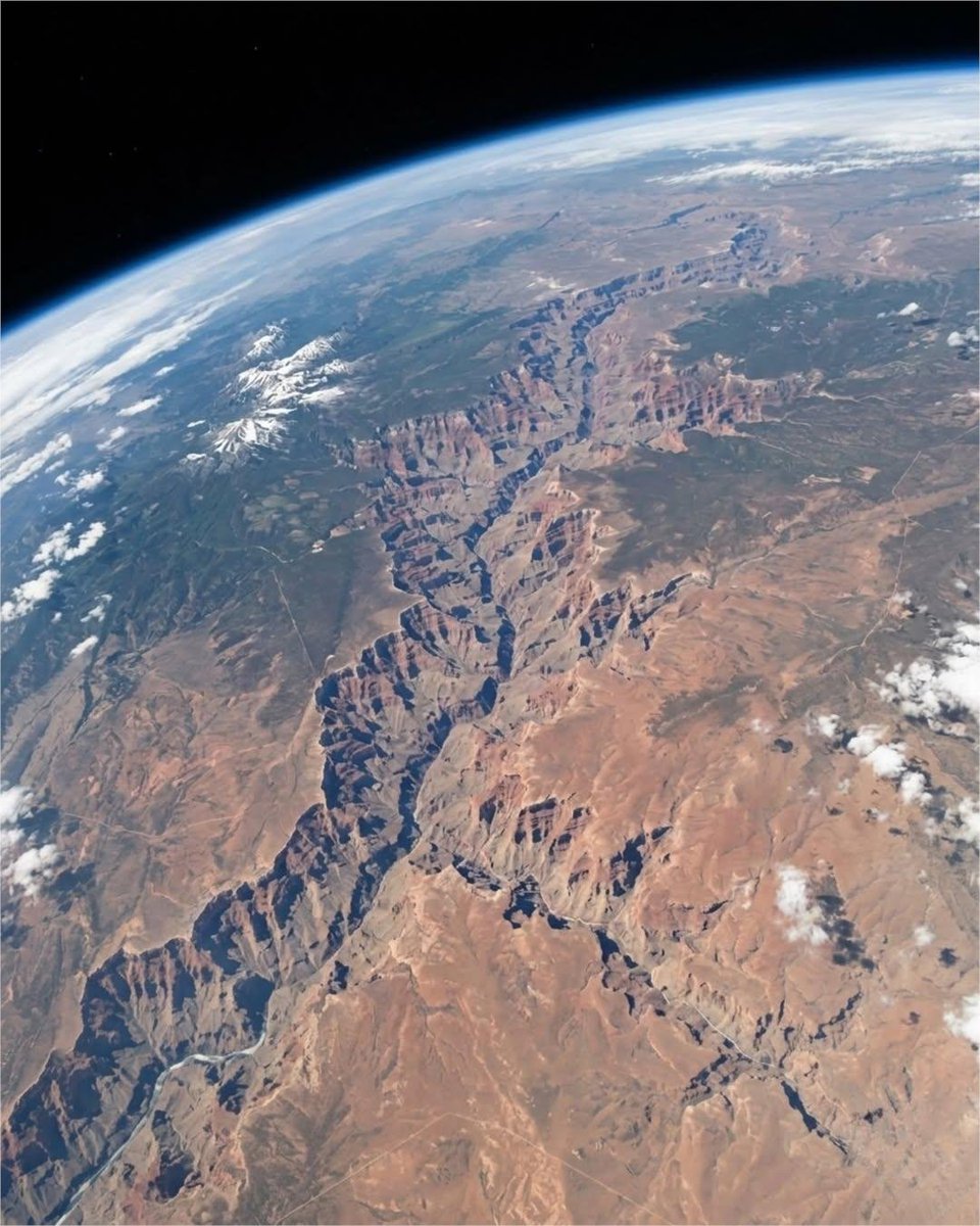 All day Astronomy tweet media