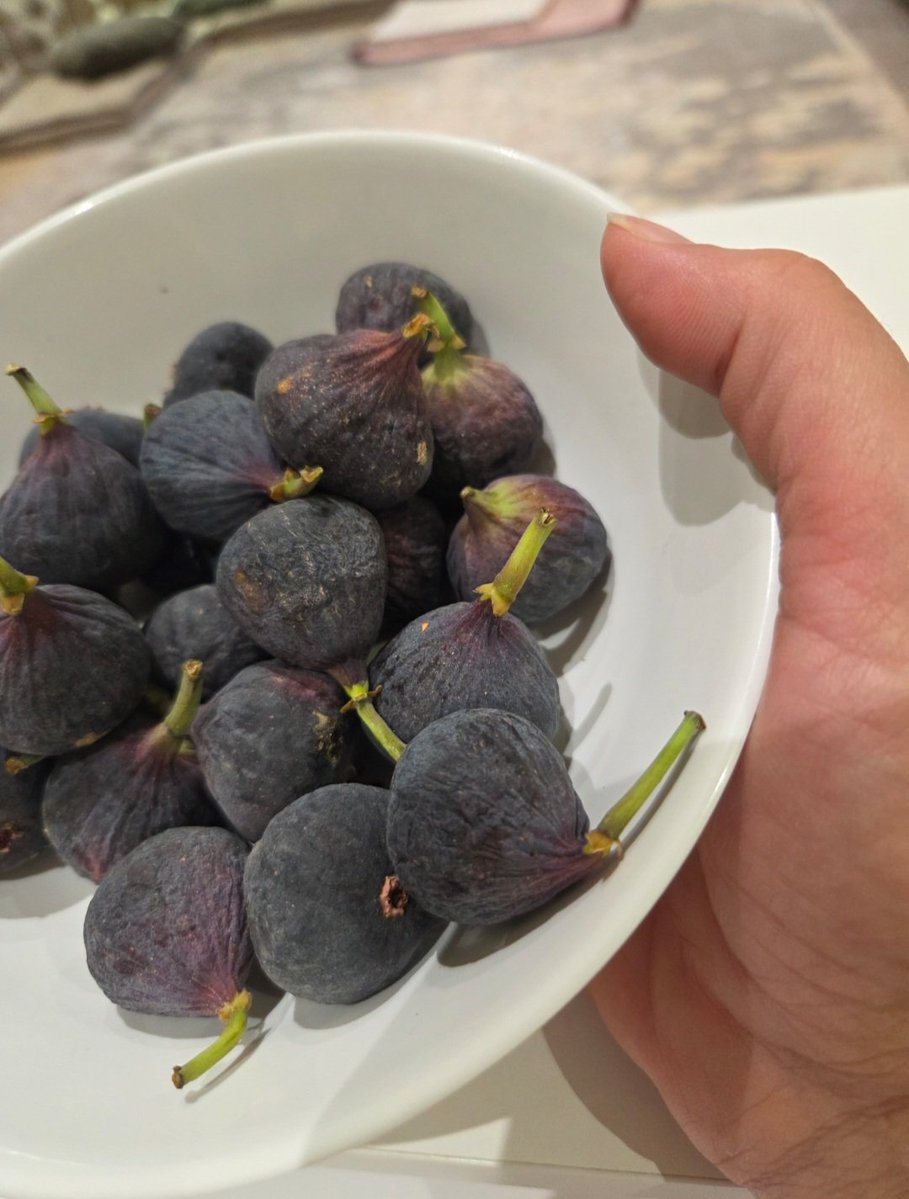 عَازف 💫 ✨ 🎸 tweet media