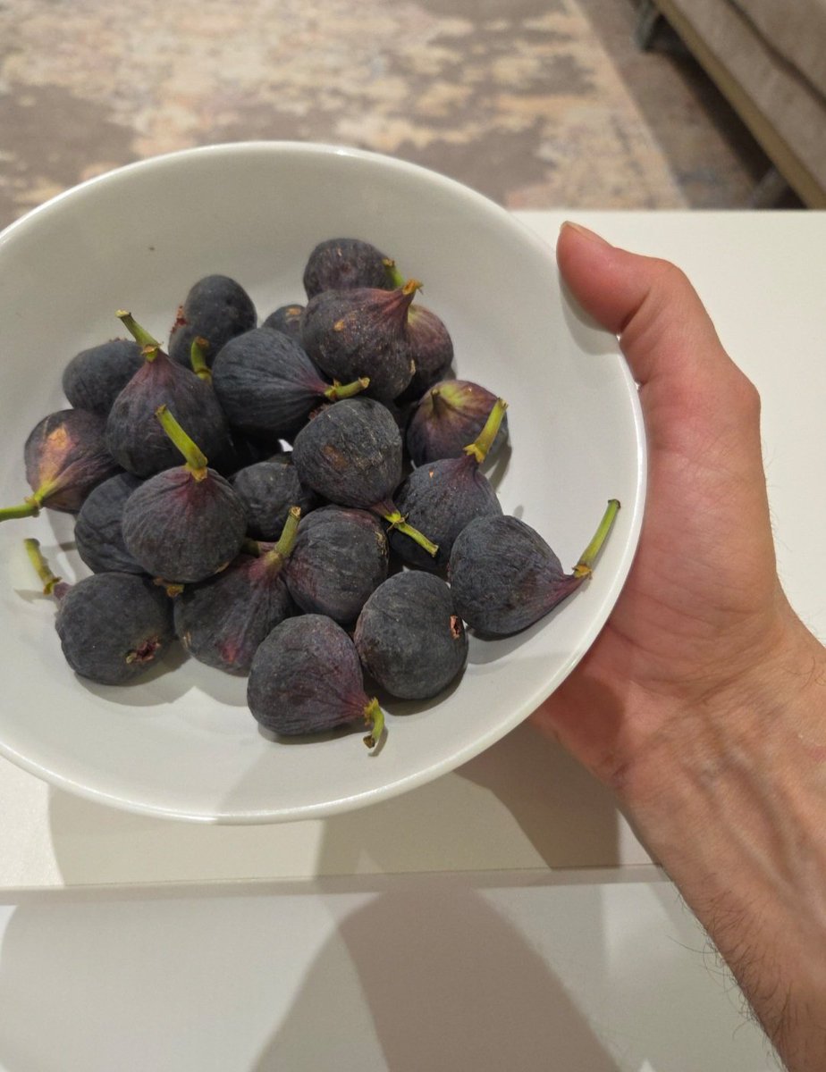 عَازف 💫 ✨ 🎸 tweet media