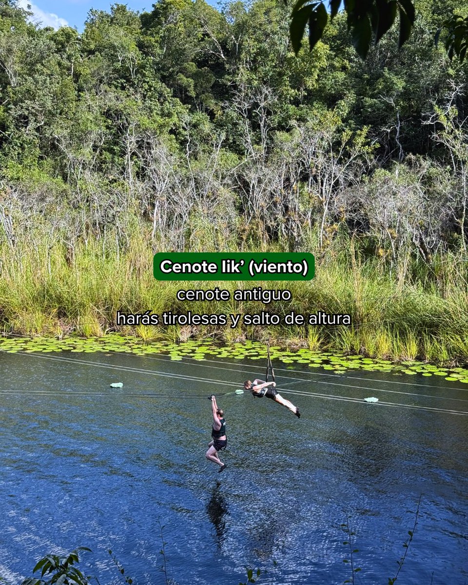 Xenotes's tweet photo. 🌿 Es momento de sumergirte en la energía de cuatro cenotes, nadar en su misticismo y disfrutar de cada actividad en compañía de la naturaleza. 🙌🏻💦 ¿Listo para vivir #TourXenotes? ✨ https://t.co/ybkyHUDasy