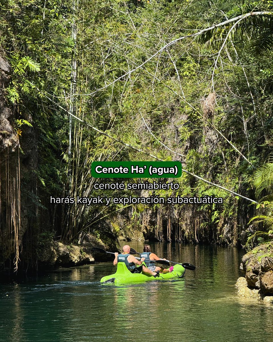 Xenotes's tweet photo. 🌿 Es momento de sumergirte en la energía de cuatro cenotes, nadar en su misticismo y disfrutar de cada actividad en compañía de la naturaleza. 🙌🏻💦 ¿Listo para vivir #TourXenotes? ✨ https://t.co/ybkyHUDasy