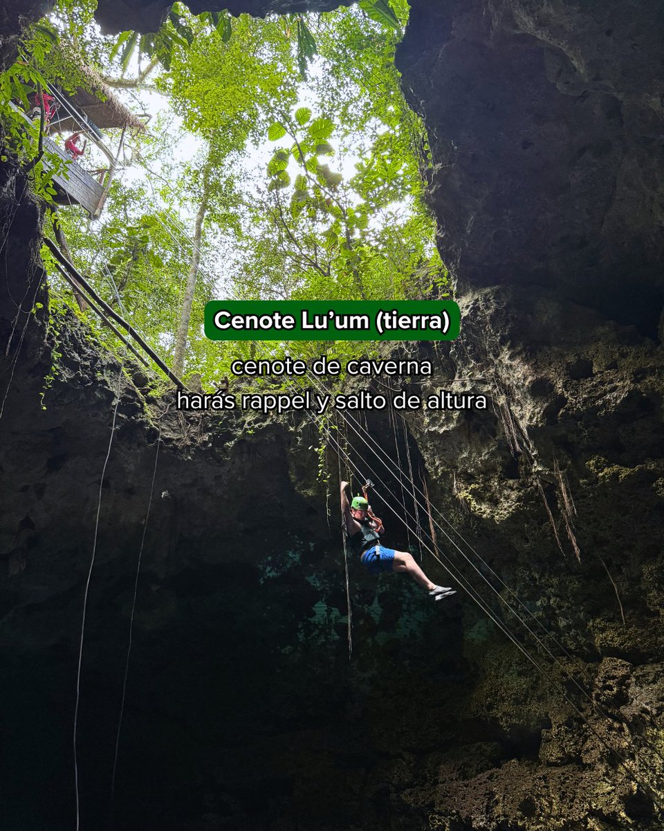 Xenotes's tweet photo. 🌿 Es momento de sumergirte en la energía de cuatro cenotes, nadar en su misticismo y disfrutar de cada actividad en compañía de la naturaleza. 🙌🏻💦 ¿Listo para vivir #TourXenotes? ✨ https://t.co/ybkyHUDasy