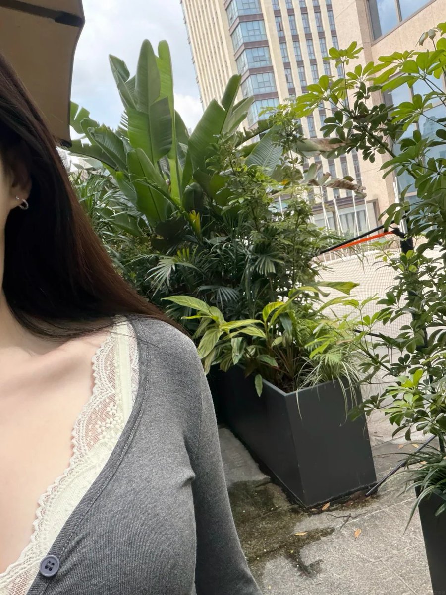 AestheteY's tweet photo. 春の午後の雰囲気 https://t.co/9QoVVAR5Hg
