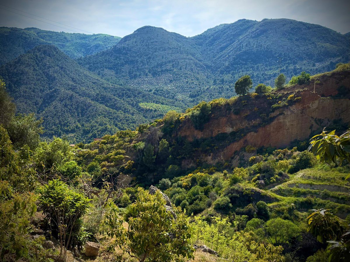 Francis Rodríguez tweet media