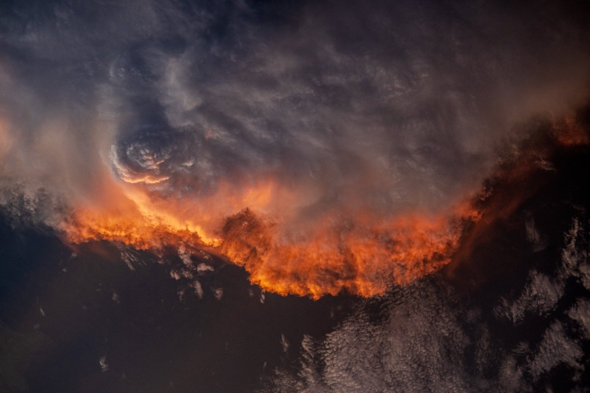 Adenot Sophie tweet media