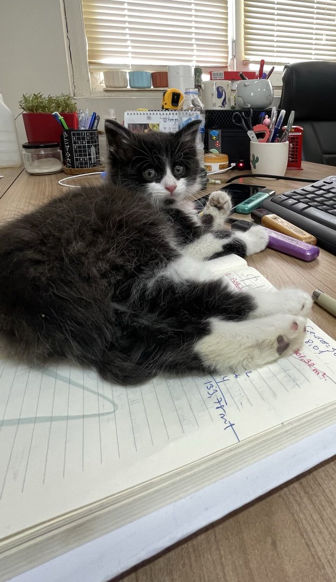 çok özledim bile 😔