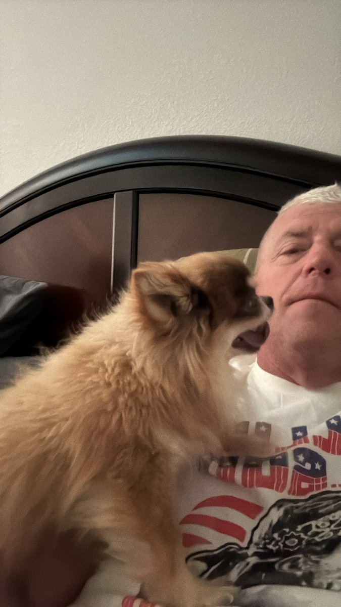 dustinrhodes's tweet photo. Made it home and here's the new gangster of the house, #Capone https://t.co/tu9tuj4Nvf