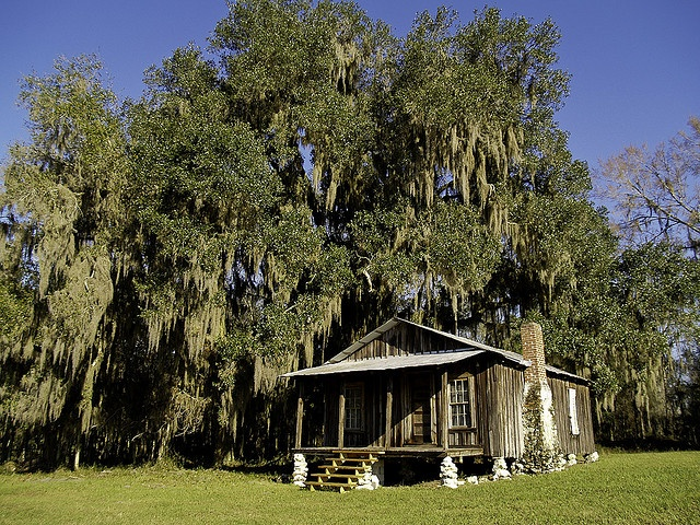 𝐬𝐭𝐞𝐯𝐞𝐧 𝐠𝐢𝐚𝐫𝐝𝐢𝐧𝐢 tweet media