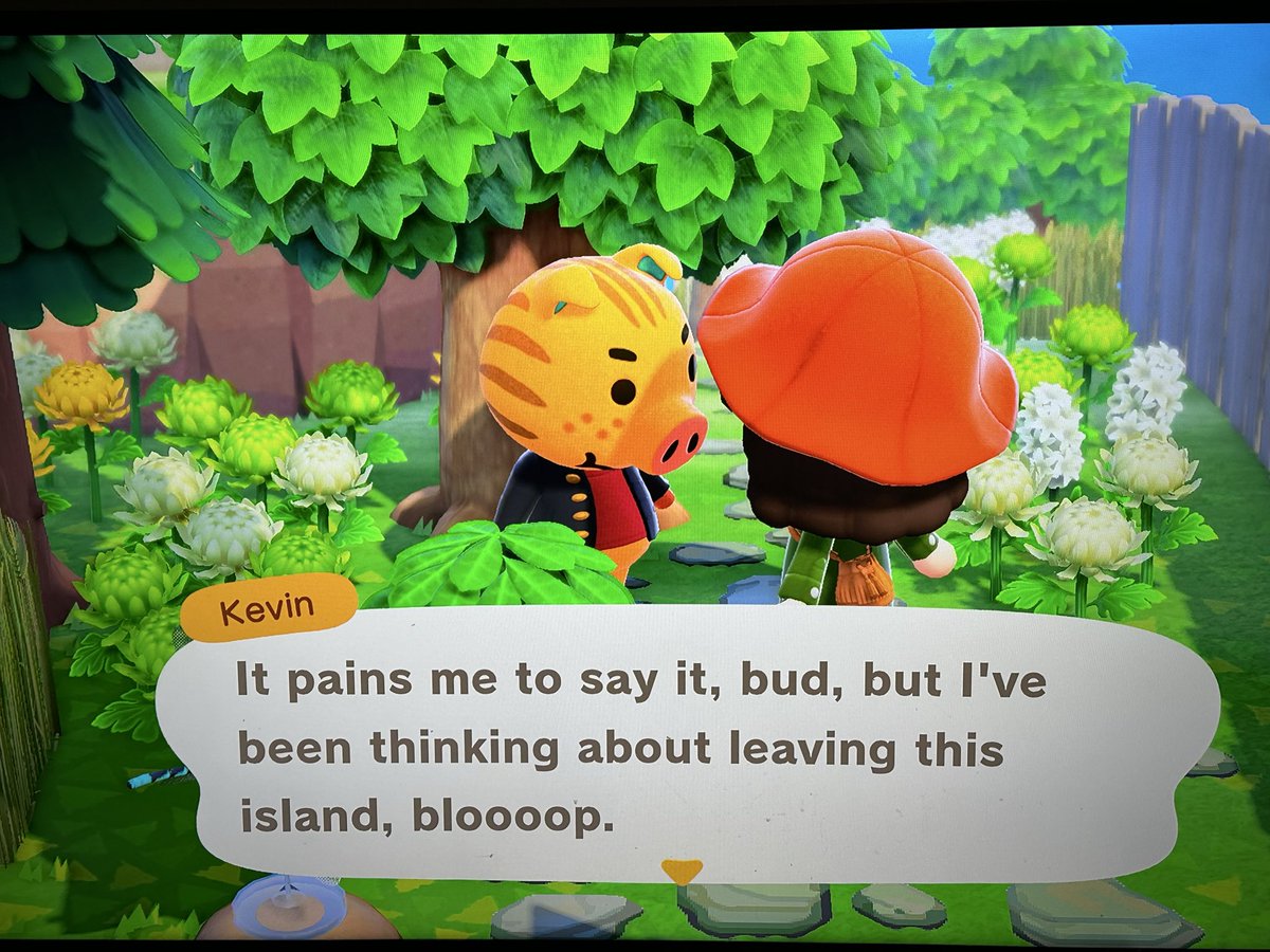 🌼Daddy D🌼 tweet media