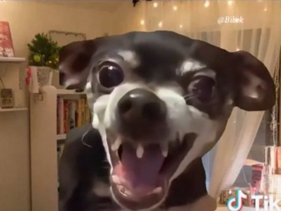 D@rkLeo👽💣 tweet media