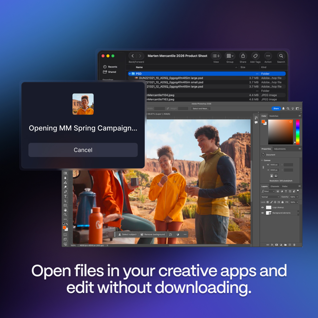 Frame.io tweet media