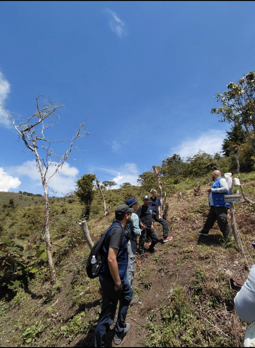 SuizaColombia's tweet photo. 1/2
🌱 La Cooperación Ambiental de Suiza y @FAO promueven el Manejo Integral del Fuego a través de la iniciativa 👉 https://t.co/EG30litmih desde el nivel regional al local en países andinos amazónicos.
#HubRegionalLima
@EmbSuizaPeru
@SuizaColombia
@SwissDevCoop
@FAO_Colombia https://t.co/pGkl9zmPUZ