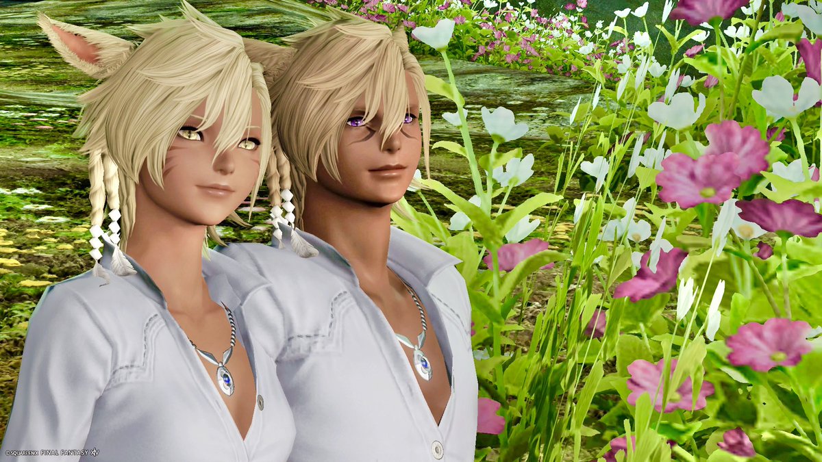 ぶたこ☽ tweet media