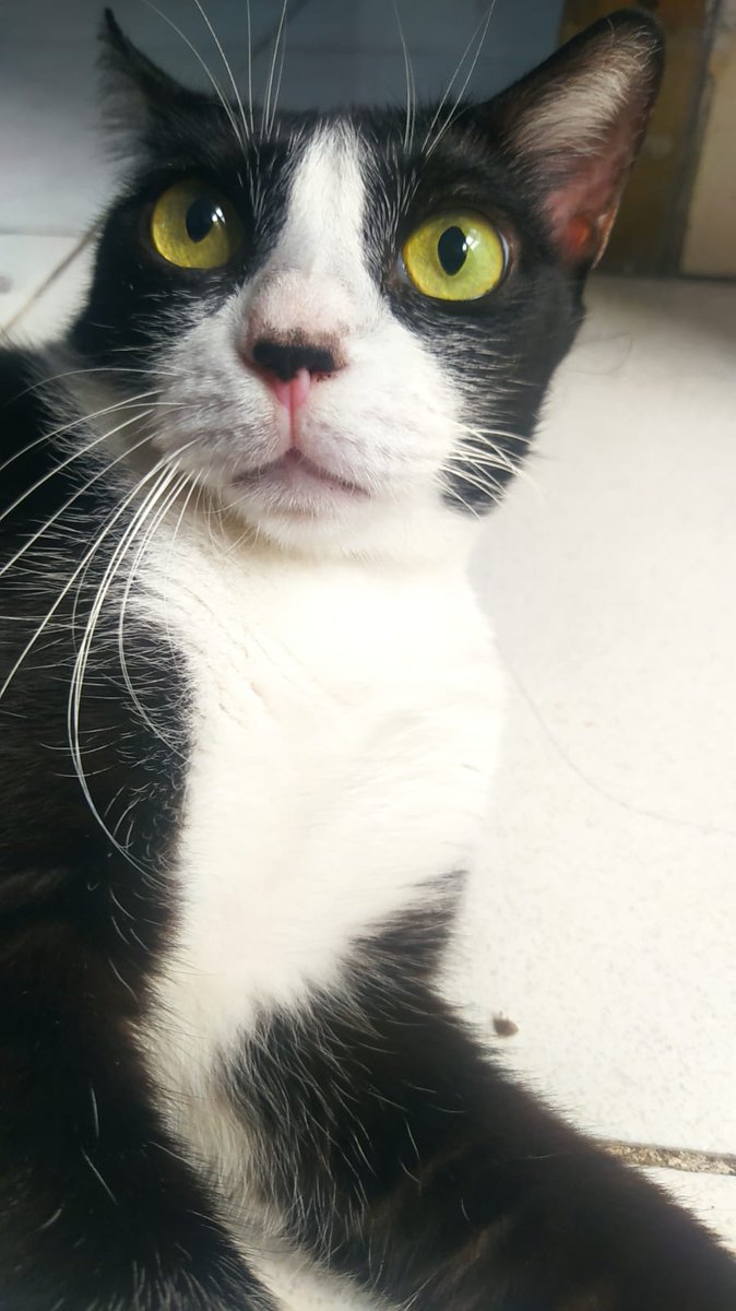 Hello~ 
It's been a while huh... exactly 2 weeks from my hiatus. And here i am, i'm back now, healthier than ever✨

Singkat aja, terima kasih buat yang udah senantiasa ngedoain untuk kelancaran proses penyembuhanku selama masa hiatus terutama MY UNIVERSA🦋i miss you guys so