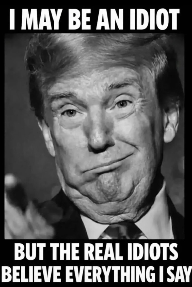 Voices of Democracy tweet media