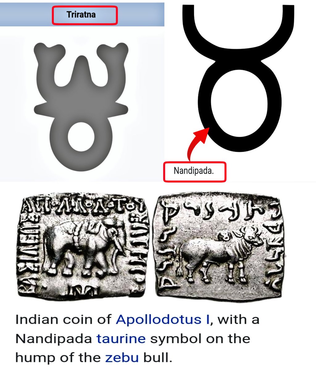 Anudhammap tweet media