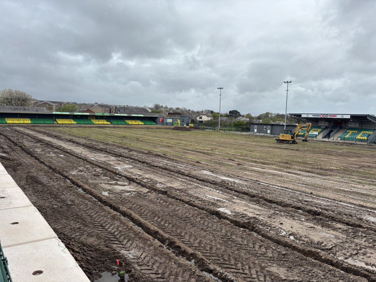 Noel Mooney tweet media