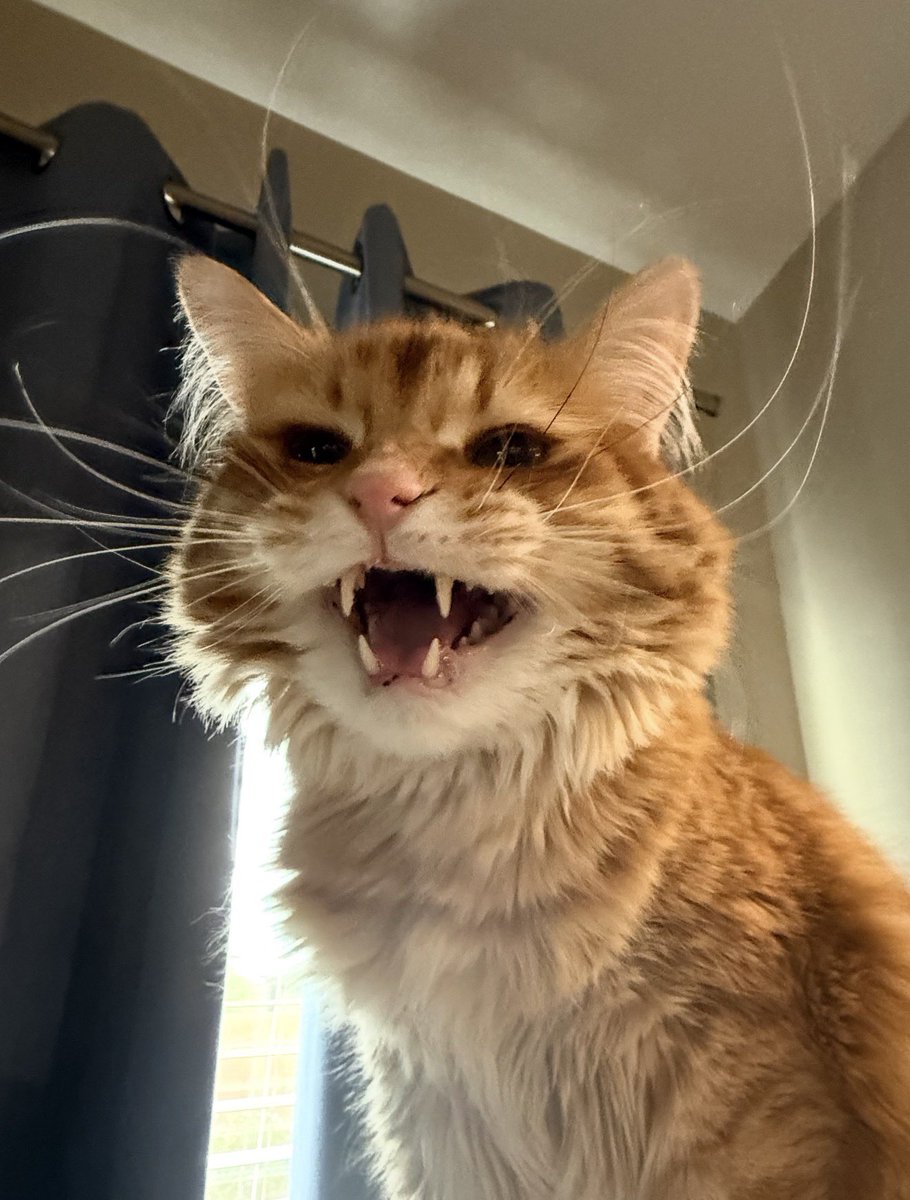 Andrew McCarthy tweet media