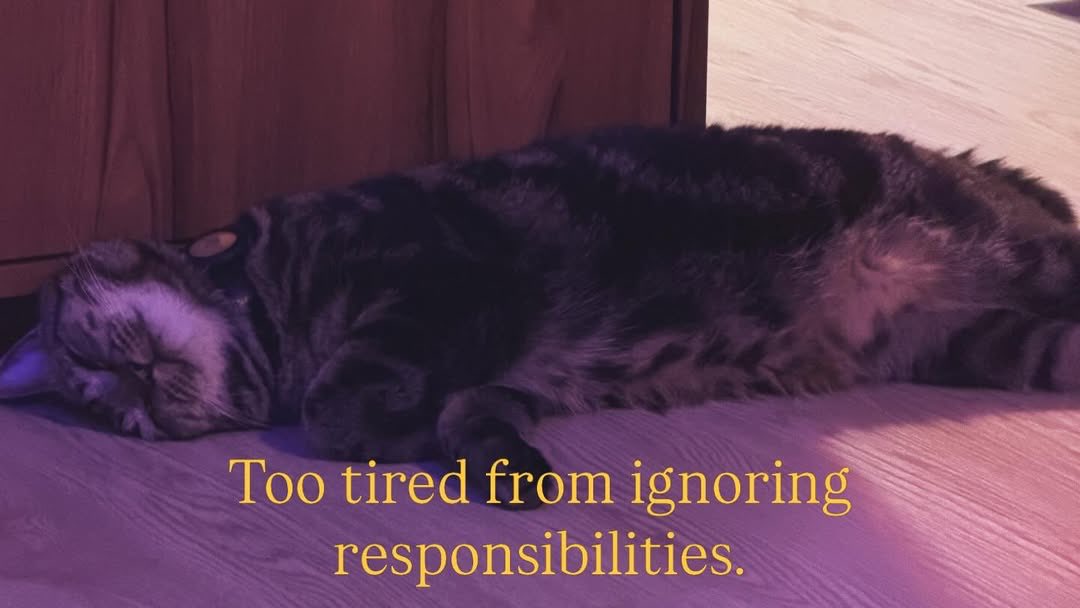 Build_Family FC tweet media